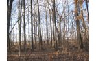 Property photo 15 - 44 Acres Offered in 3 Tracts